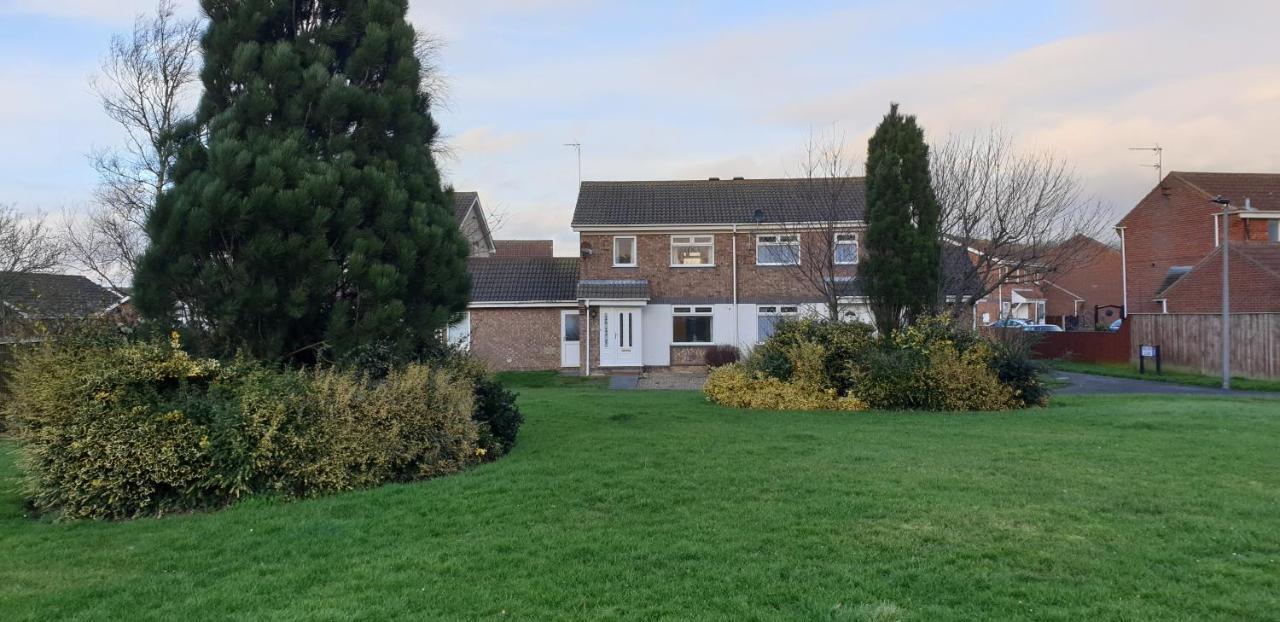 Дом отдыха Badger's House, Willow Close, Файли
